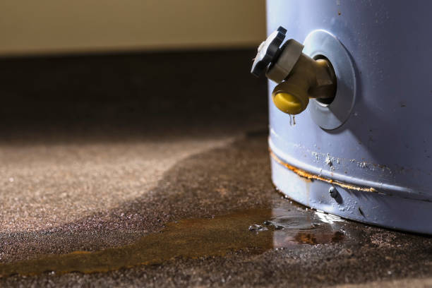  Spring Mount, PA Water damage restoration Pros
