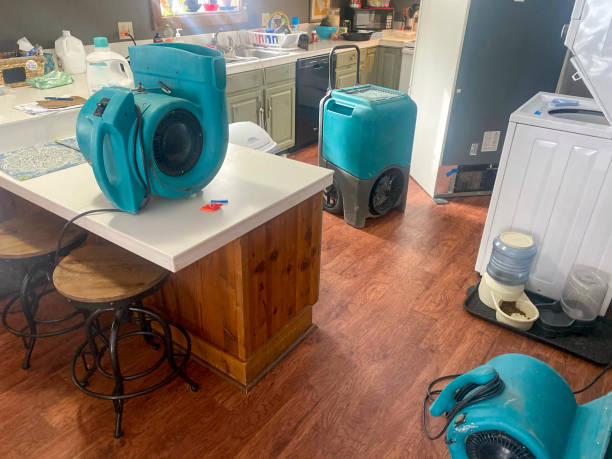 Best Water damage restoration near me  in Spring Mount, PA