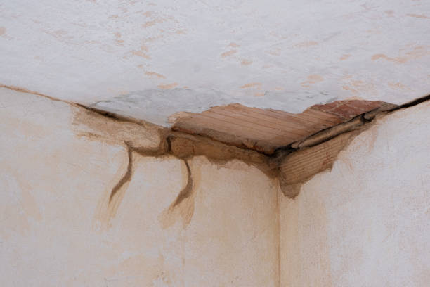 Best Flood damage cleanup  in Spring Mount, PA