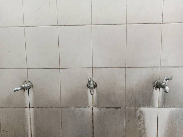 Best Emergency water extraction  in Spring Mount, PA
